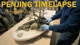 Chinese Penjing One Minute Timelapse