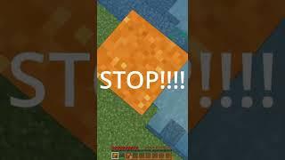 STOP DOING THIS!! #shorts #minecraft #minecraft