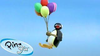 Taking Flight!  | Pingu - Official Channel | Cartoons For Kids