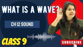 What is a Wave ? | Types Of Wave | Chapter 12 | Sound | Class 9 Science