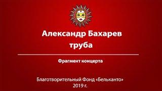 Александр Бахарев труба