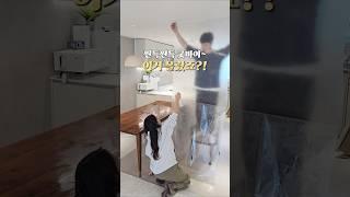 우리집 테이블은 이걸로 관리!#공구마감 #3월10일오픈 #필름지공구#꿀템 #꿀팁