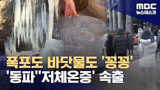 "바닷물도 얼어붙어" 주말까지 한파 이어진다 (2025.01.10/뉴스데스크/MBC)