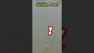 Strike Jaer