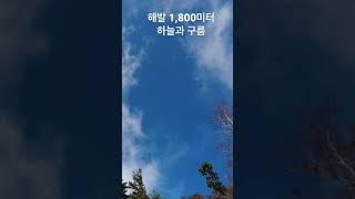 해발 1,800미터.. 구름이 손에 닿을 듯해