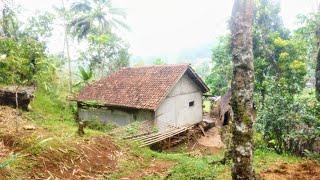 Rumah Pinggir Hutan ‼️Di Kampung Terpencil Dekat Pegunungan Suasana Pedesaan Yang Asri Dan Tenang