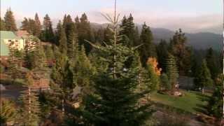 Tenaya Lodge at Yosemite National Park HD