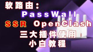 软路由上PassWall、SSR、OpenClash三大插件小白使用教程，魔法上网！