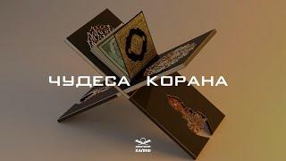Математическое ЧУДО Корана, которое поразит вас