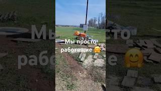 Мы просто работящие  #садоводство #дача #сад #черенкование
