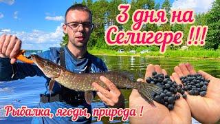 3 дня с ДЕВУШКОЙ на СЕЛИГЕРЕ