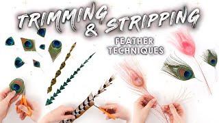 Trimming & Stripping Feathers Techniques!