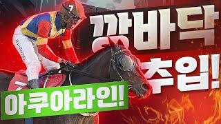 [경마]깡바닥 추입! 인기 꼴지? 형님누나들 후회할껄!! #경마 #마사회