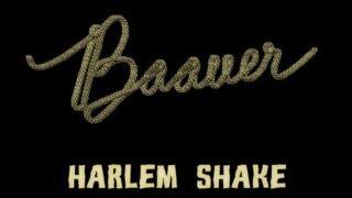 Baauer - Harlem Shake (Original) [Official Lyrics Video | HD/HQ]