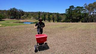 All You Need to Know about Seeding and Sprigging a Lawn