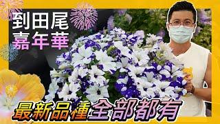 【田尾系列17】好多厲害的新品種，每種我都想買，錯過就太可惜了。＃田尾公路花園田尾＃伊恩愛種花＃菁芳園