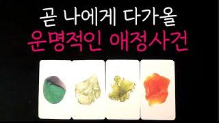  곧 나에게 다가올 운명적인 애정사건 #타로 #애정운 #속마음타로