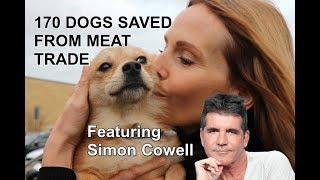 DOG MEAT TRADE RESCUE / Featuring Simon Cowell & Pete Wicks