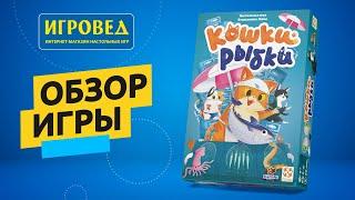 Кошки рыбки. Обзор настольной игры от Игроведа