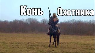 Какого коня брать под охоту? | Александр Обжерин