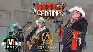 Oscar Ayala y Su Sangre Brava - Como En La Cantina En Vivo (Full Video)