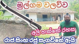 මුල් ගම වලව්ව .BALANGODA