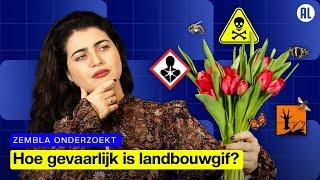 De schaduwzijde van de bloembollenteelt | Zembla