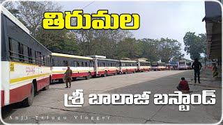 Sri Balaji Bus Stand View In Tirumala | Tirumala Bus Stand | Anji Telugu Vlogger