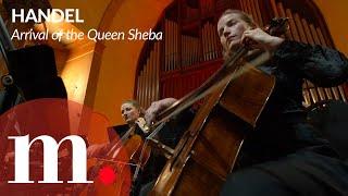 Celebrate the 40 years of Les Violons du Roy with Handel's arrival of the Queen Sheba