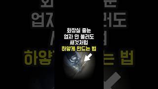 화장실 줄눈 찌든때 '이렇게'하면 한 방에 지워집니다! 락스 없이 화장실 줄눈 청소하는 꿀팁