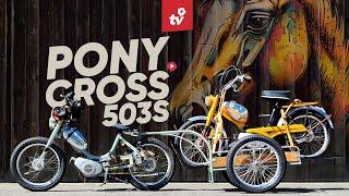 PONY CROSS 503 S | ELIAS zerlegt sein Mofa komplett