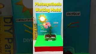 photosynthesis working model - shorts - diypandit | DIY pandit