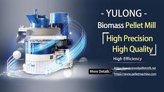 YULONG Biomass Pellet Machine High Precision High Quality!