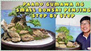 How to make bonsai penjing Step by step tutorial ...(tugas)