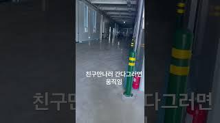 강아지가 말 안들을때 쓰는 치트키
