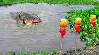 Fishing Video 2024 || Village Smart Boy Catch Fish by Hook From Village Canal With Beautiful Nature