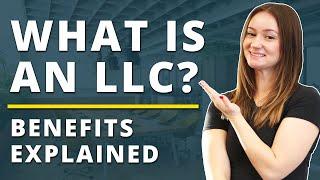 What is an LLC? (Limited Liability Company) - A TRUiC Guide