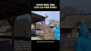 집사의 손길덕에 무사탈출