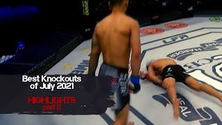 Best Knockouts of July 2021 | part 2 | Highlights | MMA