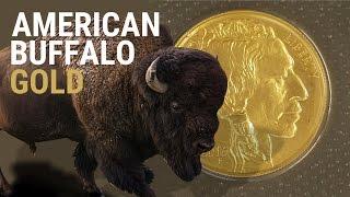 GOLD - American Buffalo 2016 - Eine der besten GOLDMÜNZEN der USA - 1 Unze - Verpackung & Tube