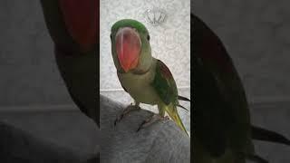 Алексы часть 9