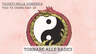 Ritorno alle radici  - Taoisti della domenica - TTC cap 16