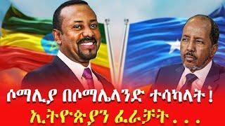 ሶማሊያ በሶማሌላንድ ተሳካላት!// ኢትዮጵያን ፈራቻት...