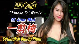 王心雅 - 一剪梅 (最火歌曲DJ Remix) Yi Jian Mei【Setangkai Bunga Plum/A Spray Plum Blossoms】Terjemahan Indonesia