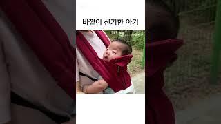 바깥이 신기한 주원이 #아기외출 #귀여운아기 #아기띠 #육아브이로그