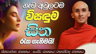 84. හැම අවුලටම විසඳුම සිත රැකගැනීමයි! | ඒකපණ්ණ ජාතකය | සංජීව ජාතකය | රජෝවාද ජාතකය |  2023-08-03