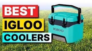 Top 3 Igloo Coolers in 2025