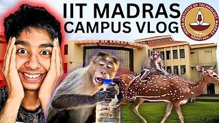 IIT Madras Campus is WILD!! Paradox Fest Vlog! BS Data Science Online Degree