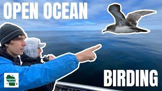 Epic Pelagic Birding Adventure: Rare Seabirds Spotted!