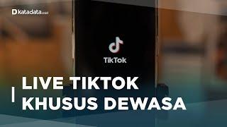 Ada Batasan Usia, Ini Sederet Aturan Baru Live Streaming di Tiktok | Katadata Indonesia